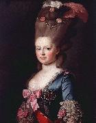 Alexander Roslin Portrait of Sophie Dorothea of Werttemberg France oil painting artist